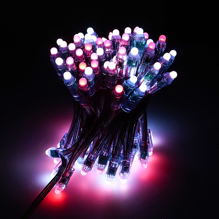 12MM 5V 12V RGB Pixel LED Bullet String Light